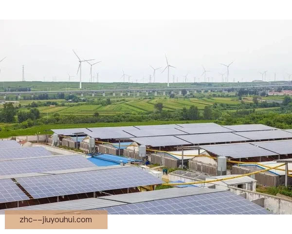 不莱梅宣布将在球场安装德国最大光伏板阵列助力绿色能源革命